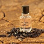 عطر ادکلن سلبریت لایف داگلاس - Celebrate Life Douglas - بررسی، قیمت و خرید