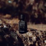 عطر ادکلن سامبرا دی:سول ام‌ام‌ایکس‌وی‌آی - Sombra D:SOL MMXVI - بررسی، قیمت و خرید