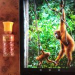 عطر ادکلن بورنئو دزینتارس - Borneo Dzintars - بررسی، قیمت و خرید