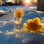 عطر ادکلن کبوتین گلد گرس - Cabotine Gold Grès - بررسی، قیمت و خرید