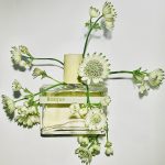 عطر ادکلن بوسکه هامیکی اند گریف - Bosque Humiecki & Graef - بررسی، قیمت و خرید