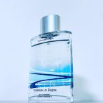 عطر ادکلن اَکوا دی استاته اسانزا دی زگنا ارمنجلدو زینا - Acqua d'Estate Essenza di Zegna Ermenegildo Zegna - بررسی، قیمت و خرید