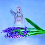 عطر ادکلن بلا فرانک اولیور - Bella Franck Olivier - بررسی، قیمت و خرید