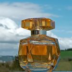 عطر ادکلن له پرفیوم لومیر ایلی ساب - Le Parfum Lumière Elie Saab - بررسی، قیمت و خرید