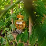 عطر ادکلن له پرفیوم لومیر ایلی ساب - Le Parfum Lumière Elie Saab - بررسی، قیمت و خرید