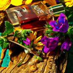 عطر ادکلن باس الایو ادو پرفیوم هوگو باس - Boss Alive Eau de Parfum Hugo Boss - بررسی، قیمت و خرید