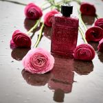 عطر ادکلن گوچی گیلتی ابسولوت پور فم گوچی - Gucci Guilty Absolute Pour Femme Gucci - بررسی، قیمت و خرید
