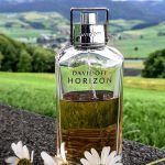 عطر ادکلن هورایزن داویدف - Horizon Davidoff - بررسی، قیمت و خرید