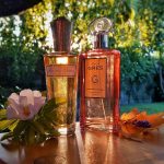 عطر ادکلن مدام گره گرس - Madame Gres Grès - بررسی، قیمت و خرید
