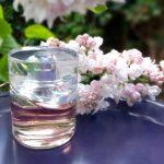 عطر ادکلن فم هوگو باس - Femme Hugo Boss - بررسی، قیمت و خرید