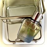عطر ادکلن زی زگنا میلان ارمنه‌گیلدو زگنا - Z Zegna Milan Ermenegildo Zegna - بررسی، قیمت و خرید