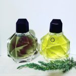 عطر ادکلن وایل کنفیت فرانچسکا دل‌اورو - Voile Confit Francesca dell'Oro - بررسی، قیمت و خرید