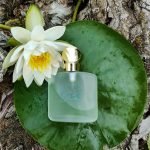 عطر ادکلن آکوا دی ژو جیورجیو آرمانی - Acqua di Gio Giorgio Armani - بررسی، قیمت و خرید