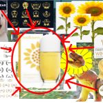 عطر ادکلن سان فلاورز الیزابت آردن - Sunflowers Elizabeth Arden - بررسی، قیمت و خرید