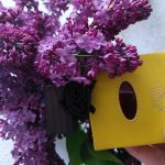 عطر ادکلن کویر سولر دیوید ژورکن - Cuir Solaire David Jourquin - بررسی، قیمت و خرید