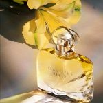 عطر ادکلن بیوتیفول بل استی لودر - Beautiful Belle Estée Lauder - بررسی، قیمت و خرید