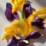 عطر ادکلن لیلی شیک اسکادا - Lily Chic Escada - بررسی، قیمت و خرید