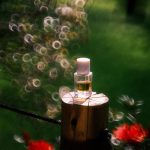 عطر ادکلن اود جنگل فئوگویا ۱۸۳۳ - Oud Jungle Fueguia 1833 - بررسی، قیمت و خرید