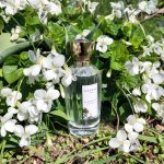 عطر ادکلن لا ویولت گوتال - La Violette Goutal - بررسی، قیمت و خرید