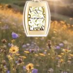 عطر ادکلن کالر دریمز فرانک مولر - Color Dreams Franck Muller - بررسی، قیمت و خرید