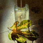 عطر ادکلن فووگیه فوگوئیا ۱۸۳۳ - Fueguier Fueguia 1833 - بررسی، قیمت و خرید