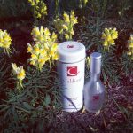 عطر ادکلن کالدین فور وومن هونکا - Caldion for Women Hunca - بررسی، قیمت و خرید