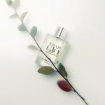عطر ادکلن آکوا دی ژیو اسنزا جورجو آرمانی - Acqua di Gio Essenza Giorgio Armani - بررسی، قیمت و خرید