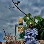 عطر ادکلن آزور سولِی اُو فِرِش اِسکینسِنت استی لادر - Azuree Soleil Eau Fraiche Skinscent Estée Lauder - بررسی، قیمت و خرید