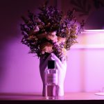 عطر ادکلن دیورامور دیور - Dioramour Dior - بررسی، قیمت و خرید