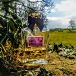 عطر ادکلن نایت سنتد جاسمین فلوریس - Night Scented Jasmine Floris - بررسی، قیمت و خرید