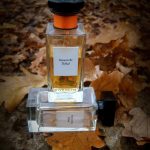 عطر ادکلن ایمورتِل ترایبِل ژیوانشی - Immortelle Tribal Givenchy - بررسی، قیمت و خرید