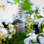 عطر ادکلن کروز کالکشن اسکاله او مارکویس دیور - Cruise Collection Escale Aux Marquises Dior - بررسی، قیمت و خرید