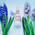 عطر ادکلن بلا فرانک اولیور - Bella Franck Olivier - بررسی، قیمت و خرید