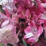 عطر ادکلن فلورا بای گوچی گورجس گاردنیا گوچی - Flora by Gucci Gorgeous Gardenia Gucci - بررسی، قیمت و خرید