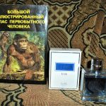 عطر ادکلن مای ورژن اکچوال سیصد و یک زینتارس - My Version Actual 301 Dzintars - بررسی، قیمت و خرید