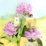 عطر ادکلن اسکای دی جیویا جیورجیو آرمانی - Sky di Gioia Giorgio Armani - بررسی، قیمت و خرید