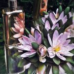 عطر ادکلن دیبو بای نایت اگنر - Debut by Night Etienne Aigner - بررسی، قیمت و خرید