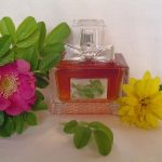 عطر ادکلن میس دیور له پارفوم دیور - Miss Dior Le Parfum Dior - بررسی، قیمت و خرید