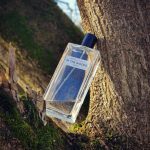 عطر ادکلن اینت وودز اسنسیل - In the Woods eSENSielle - بررسی، قیمت و خرید