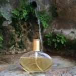 عطر ادکلن هانیمون گلوریا وندربیلت - Honeymoon Gloria Vanderbilt - بررسی، قیمت و خرید