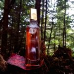 عطر ادکلن رد جورجیو بورلی هیلز - Red Giorgio Beverly Hills - بررسی، قیمت و خرید
