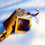 عطر ادکلن اینتنس هی وود دی اس کوارد - Intense He Wood DSQUARED² - بررسی، قیمت و خرید