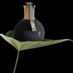 عطر ادکلن فره بای فره جیانفرانکو فره - Ferre by Ferre Gianfranco Ferre - بررسی، قیمت و خرید