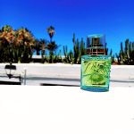 عطر ادکلن لو دو مونتیل ژرمن مونتیل - L'Eau De Monteil Germaine Monteil - بررسی، قیمت و خرید