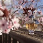 عطر ادکلن شالیمار پرفیوم اینیشیال گرلن - Shalimar Parfum Initial Guerlain - بررسی، قیمت و خرید