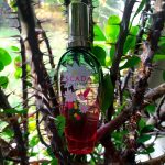 عطر ادکلن فیاستا کَریوکا اسکادا - Fiesta Carioca Escada - بررسی، قیمت و خرید