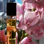 عطر ادکلن جرانی جارانی - Gerani Gerani - بررسی، قیمت و خرید