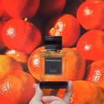 عطر ادکلن سیسیلیَن مَندَرین ارمنجیلدو زنیا - Sicilian Mandarin Ermenegildo Zegna - بررسی، قیمت و خرید