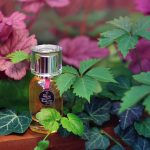 عطر ادکلن پرند گارد ا توآ اگوفاکتو - Prends Garde a Toi Egofacto - بررسی، قیمت و خرید