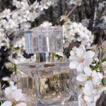 عطر ادکلن ژوز آیزنبرگ - J'ose Eisenberg - بررسی، قیمت و خرید